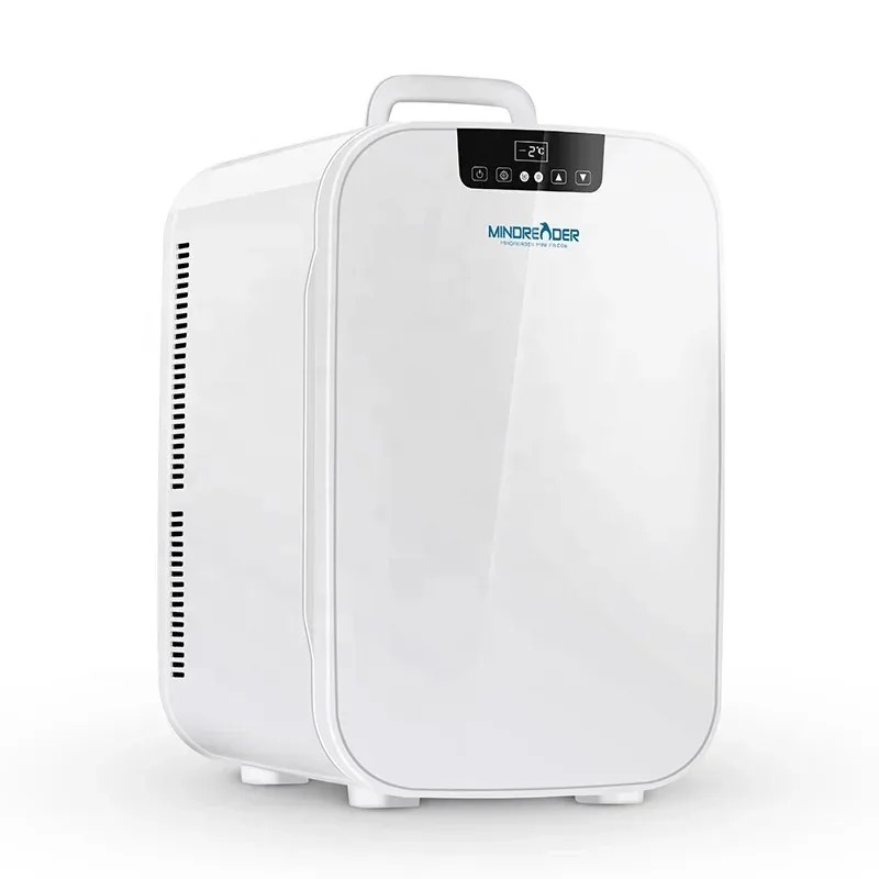 Frigorifero domestico con port - Beauty Makeup Fridge recensione e prezzo