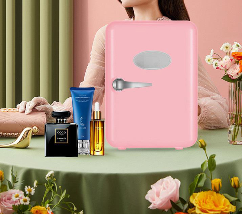 Frigoriferi per uso domestico  - Beauty Makeup Fridge recensione e prezzo