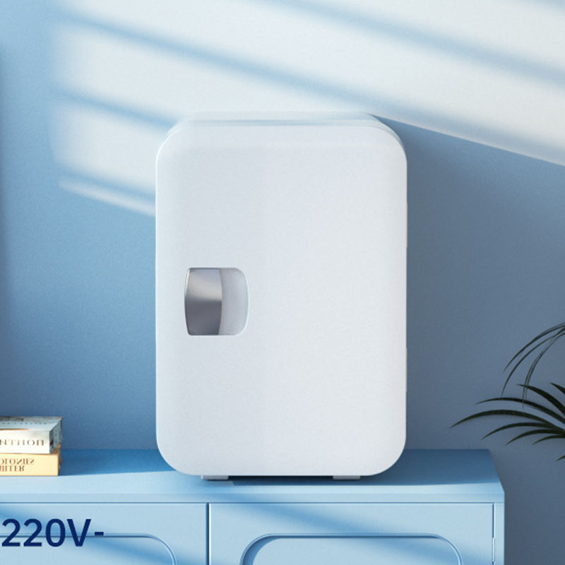 ​ ​ 2025 Nuovo mini frigorifer - Beauty Makeup Fridge recensione e prezzo